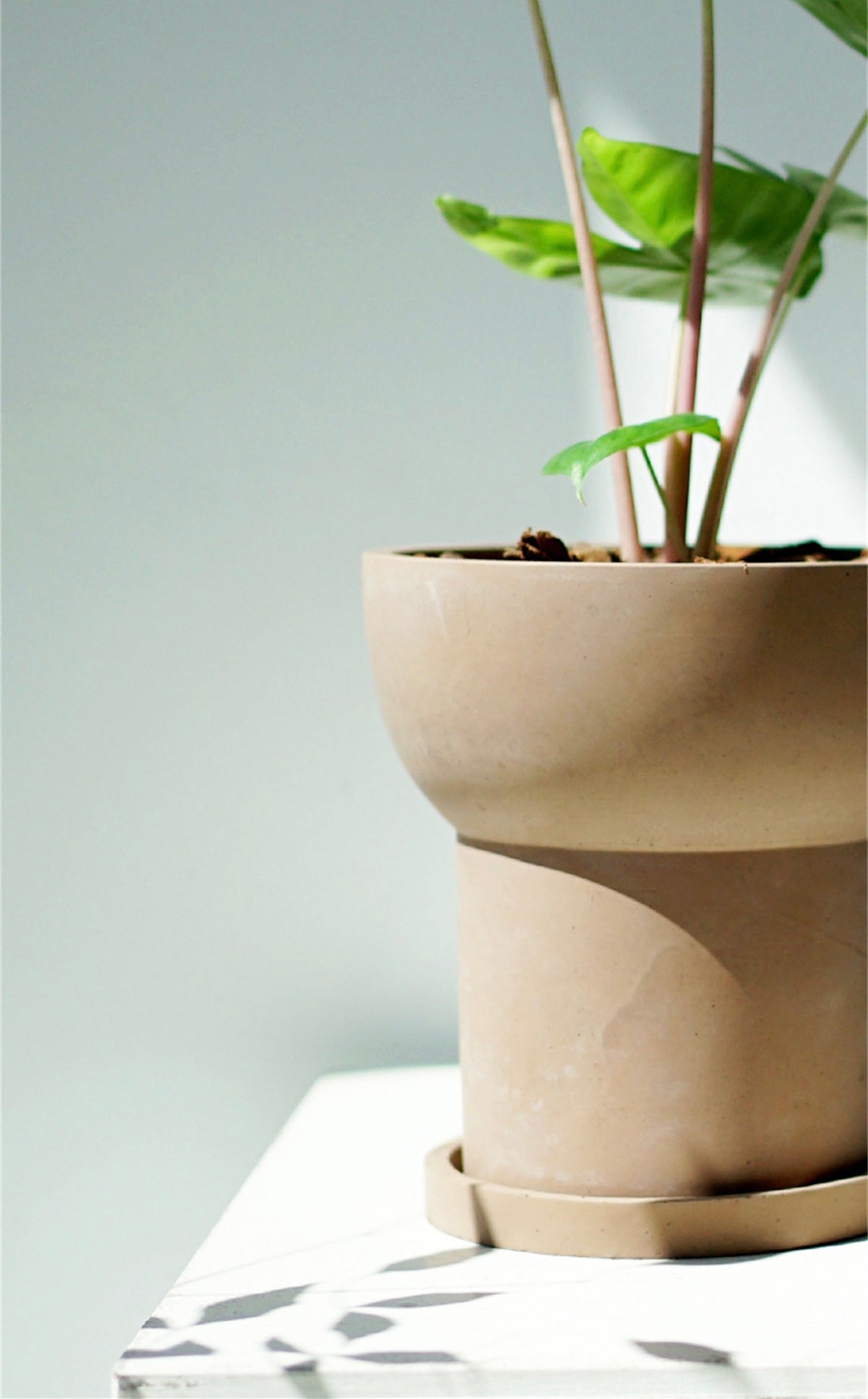 Jardinière vase en terre cuite