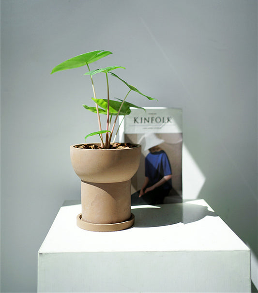 Jardinière vase en terre cuite