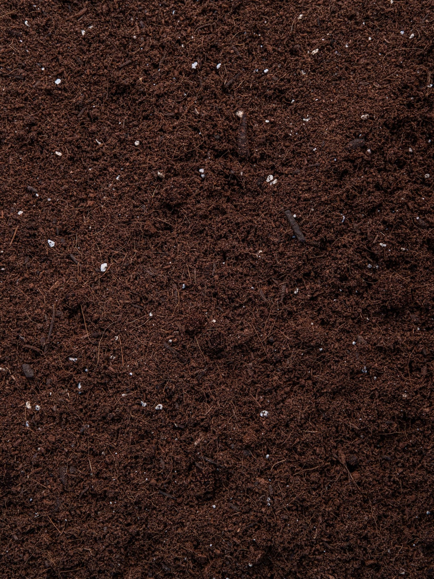 All Purpose Potting Mix